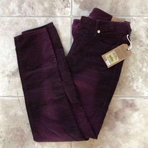 True Religion Skinny Pants